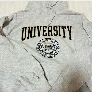 Garage Light Gray University Hoodie